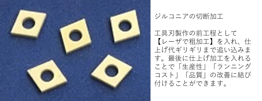 fmono26_05.jpg
